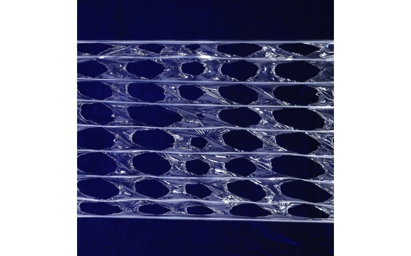 驚險！水果商特立獨(dú)行換包裝，臺風(fēng)中躲過一劫